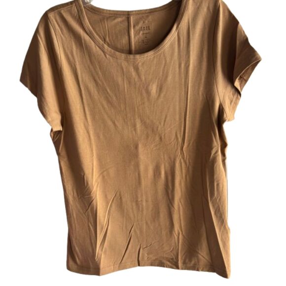 TRUE HUES. Banana Republic Nutmeg Woman XL Soft Cotton Modal Spandex Top #F - Picture 1 of 4